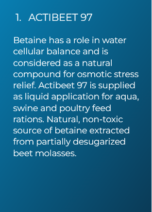 ACTIBEET 97 (1)