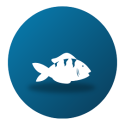 Aqua 25%