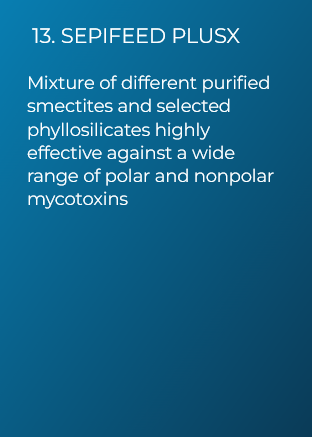 SEPIFEED PLUSX (13)
